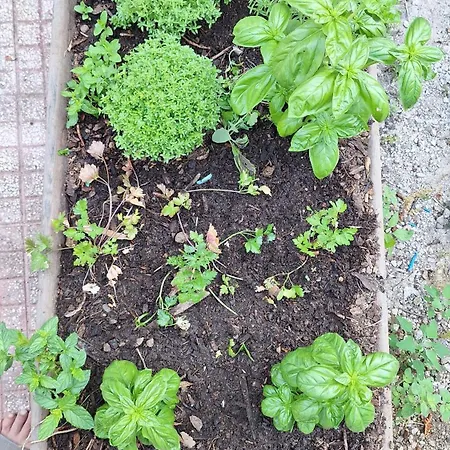 Nonna Sara בית נופש ג'ויוזה מריאה